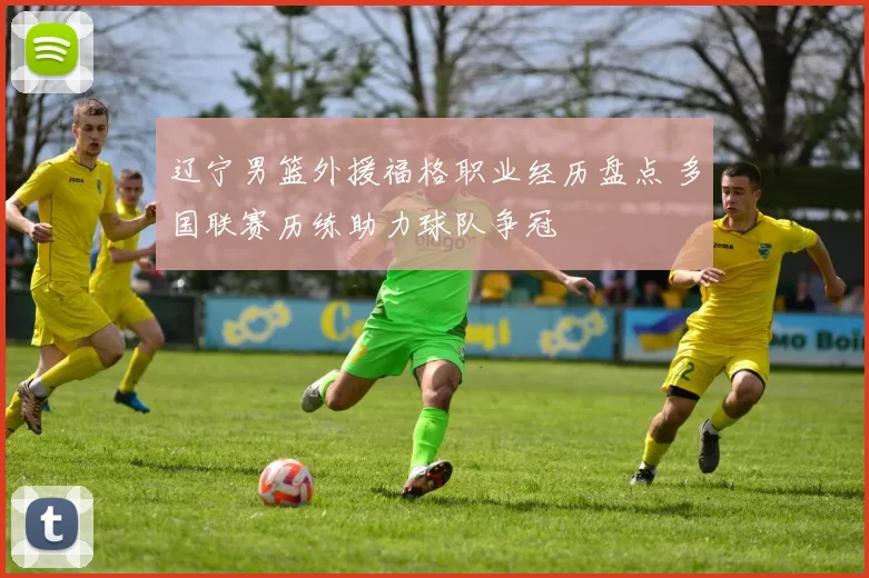 辽宁男篮外援福格职业经历盘点 多国联赛历练助力球队争冠