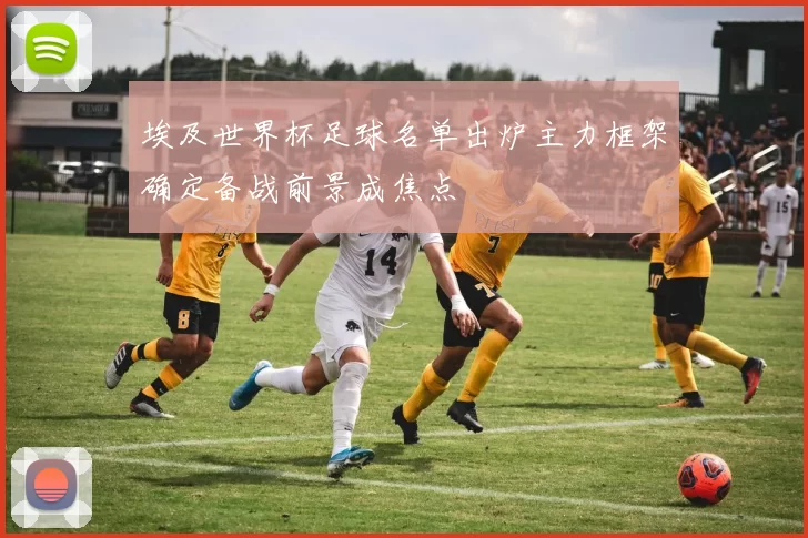 埃及世界杯足球名单出炉主力框架确定备战前景成焦点