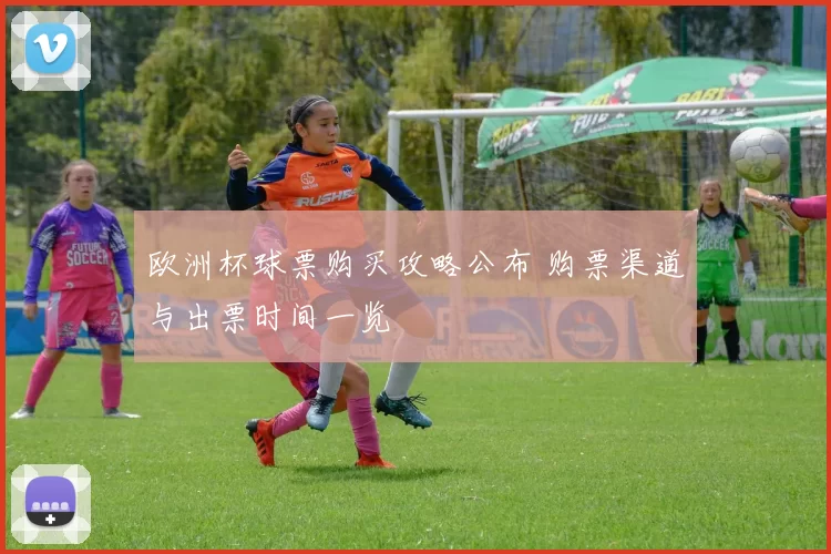 欧洲杯球票购买攻略公布 购票渠道与出票时间一览