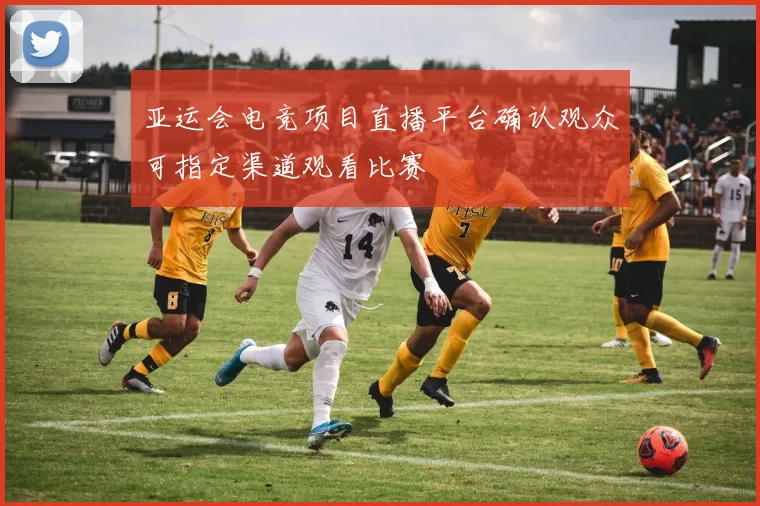 亚运会电竞项目直播平台确认观众可指定渠道观看比赛