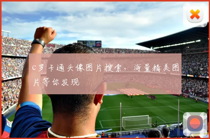 c罗卡通头像图片搜索，海量精美图片等你发现