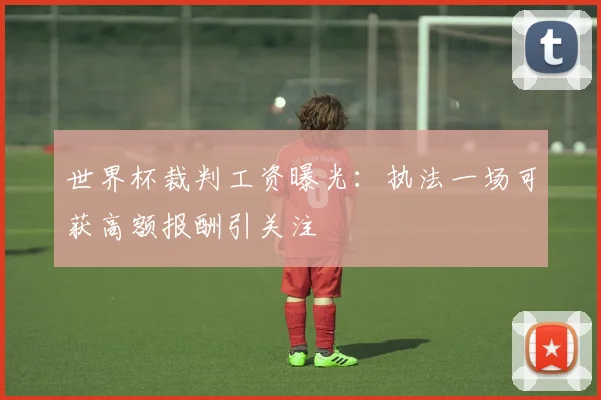 世界杯裁判工资曝光:执法一场可获高额报酬引关注