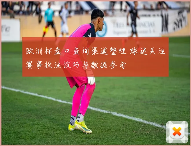 欧洲杯盘口查询渠道整理 球迷关注赛事投注技巧与数据参考